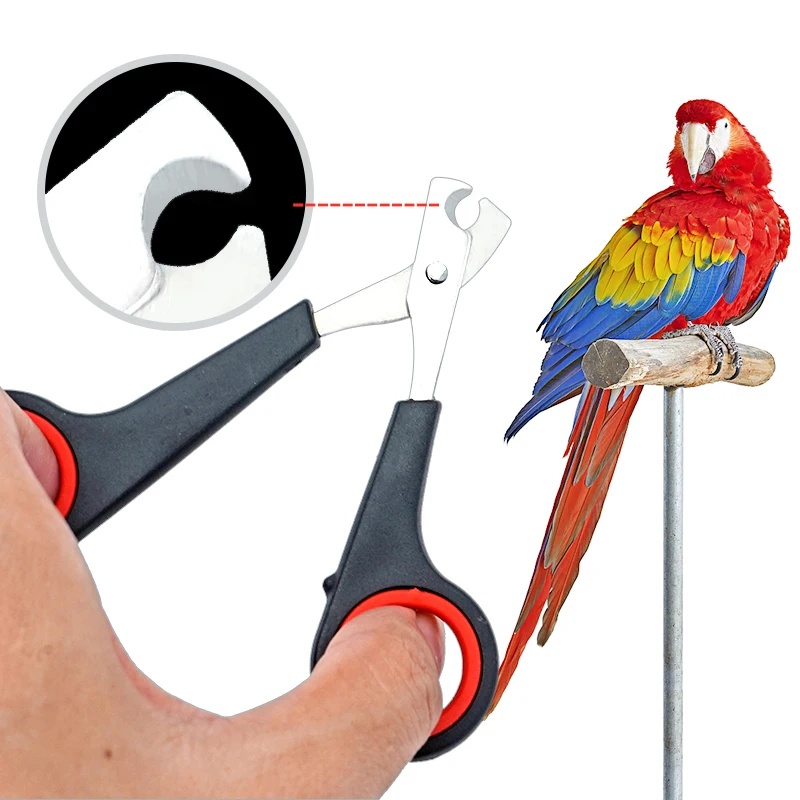 Dog Grooming Clippers - Ciseaux à ongles pour animaux de