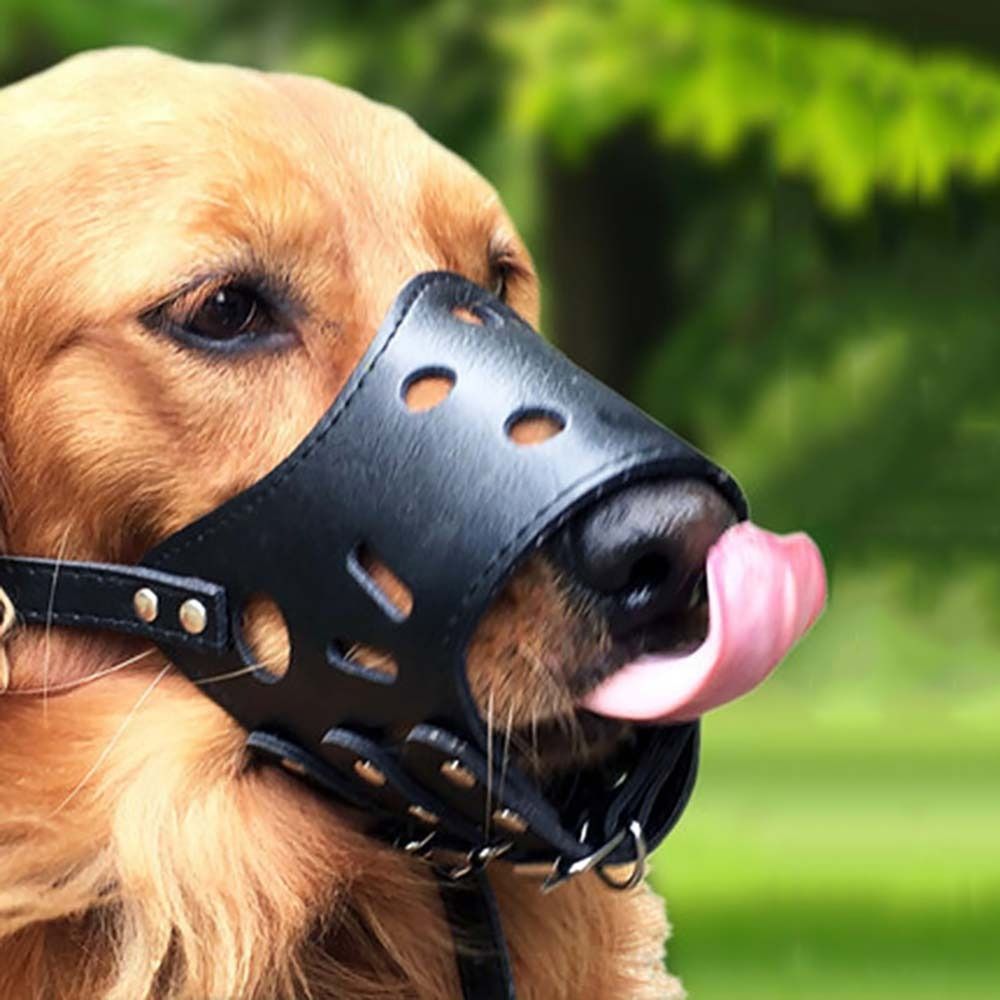 Pet Supplies Hours - Muselière anti-morsure et anti-aboiement sécurisée pour