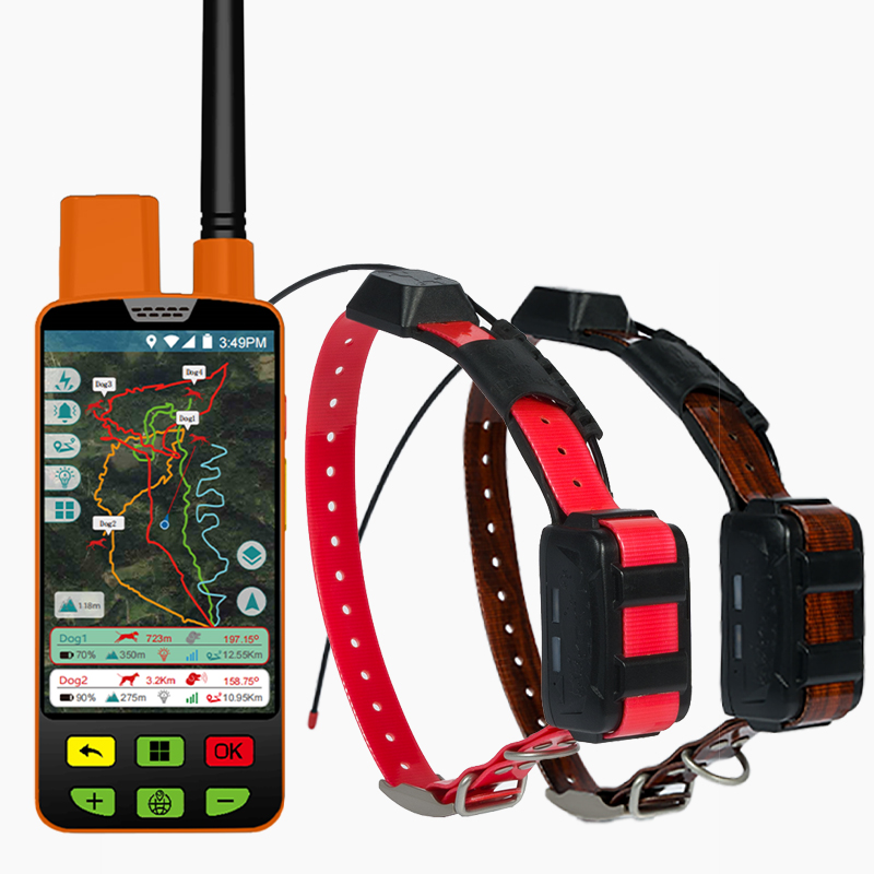Pet Gps Tracker Collar - Collier de dressage intelligent GPS MSEseek