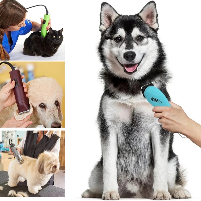 Lame large amovible pour anima - Dog Grooming Clippers avis et prix
