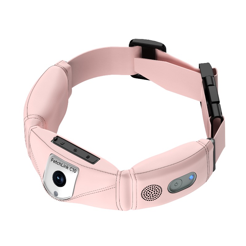 Collier intelligent tout-en-un - Pet Gps Tracker Collar avis et prix