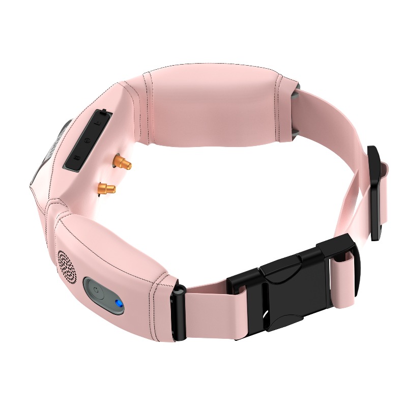 Collier intelligent tout-en-un - Pet Gps Tracker Collar avis et prix