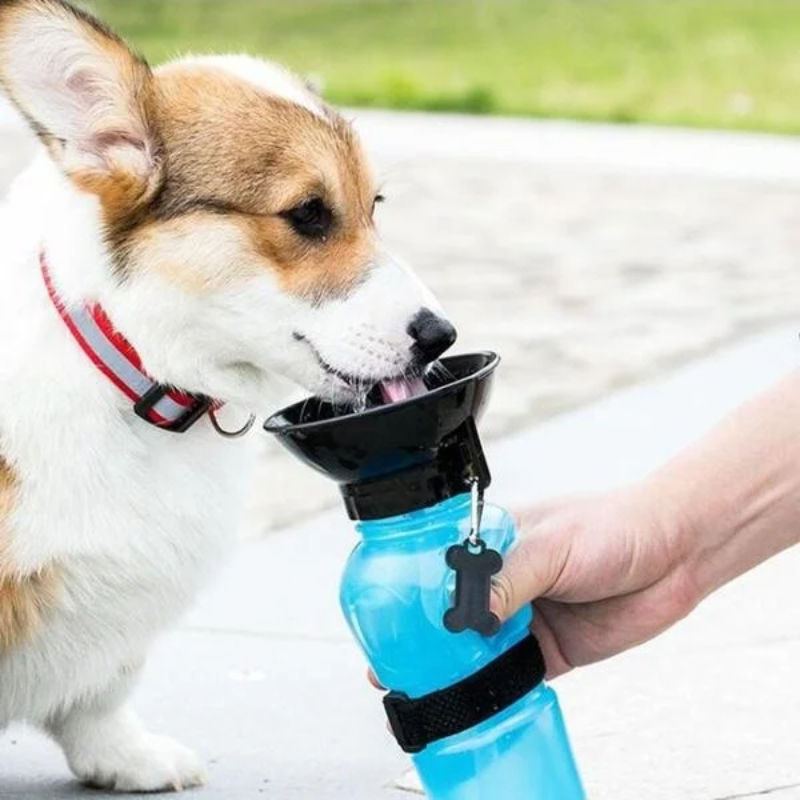 Bouteille d'eau portable de 50 - Pet Supplies Vending Machine avis et prix