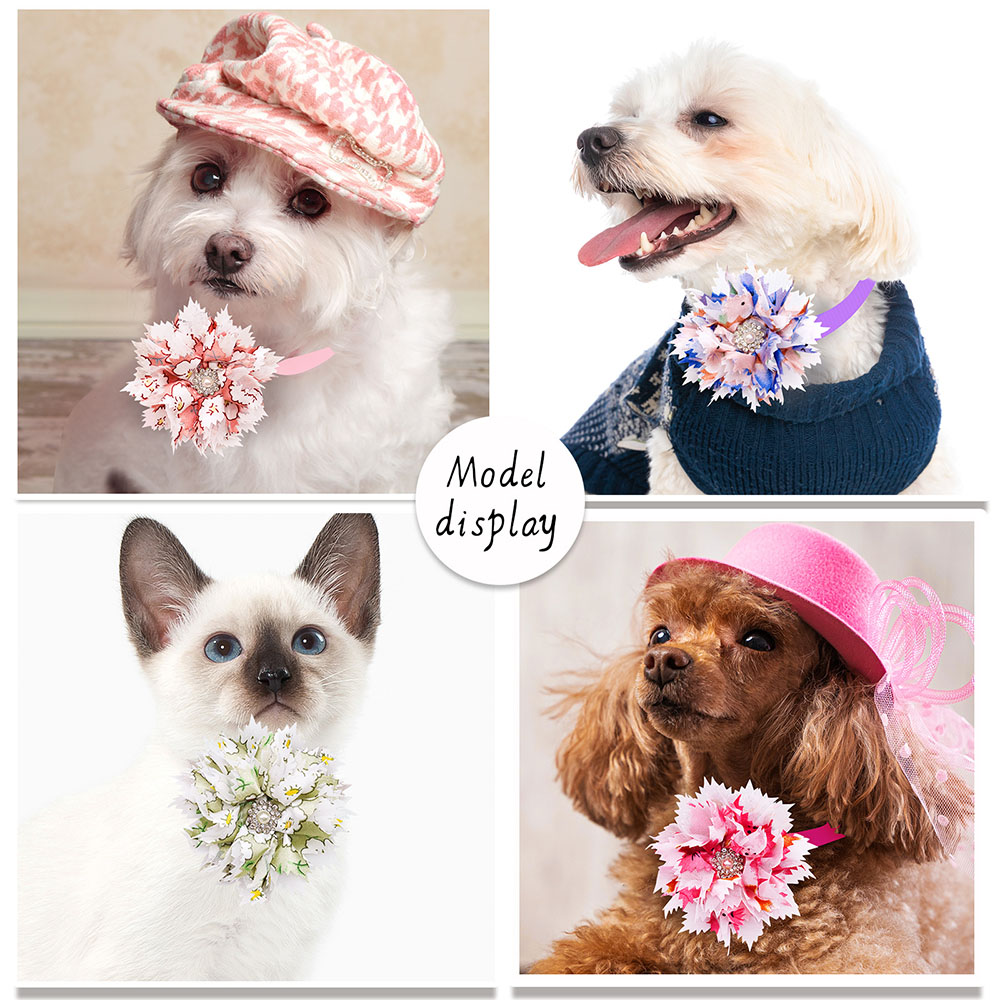 Nministériels d papillon régla - Pet Supplies Hours avis et prix