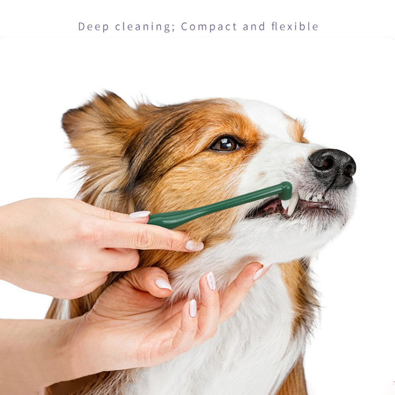 Brosse à dents Micro tête pour - Pet Supplies Vending Machine avis et prix