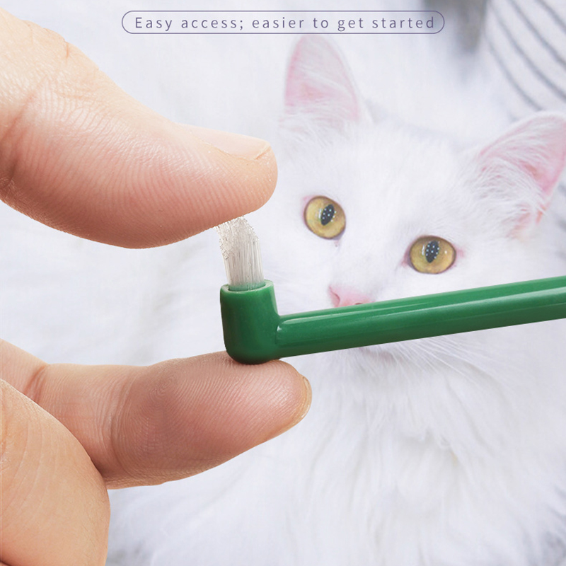 Brosse à dents Micro tête pour - Pet Supplies Vending Machine avis et prix