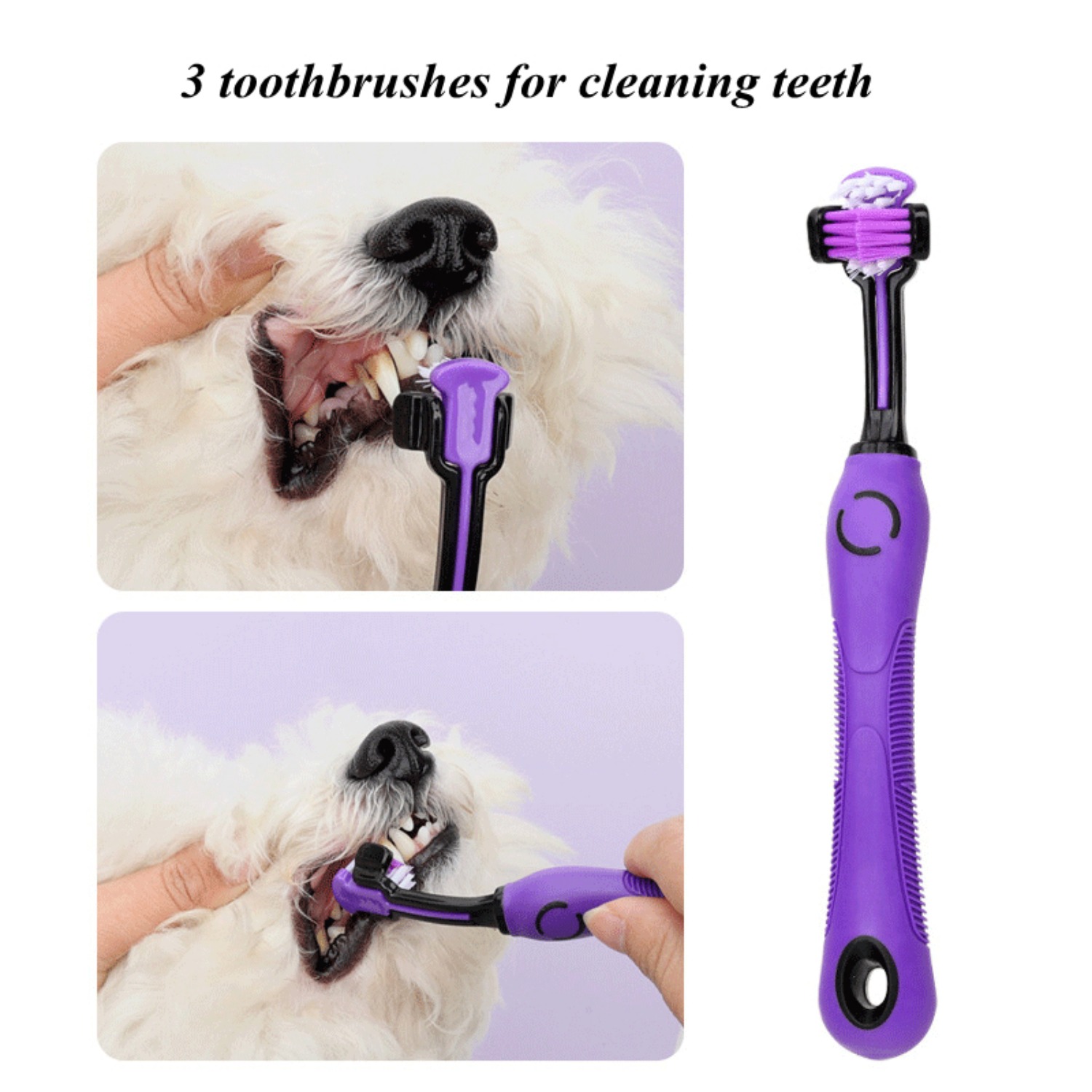 Ensemble complet de toilettage - Dog Grooming Clippers avis et prix