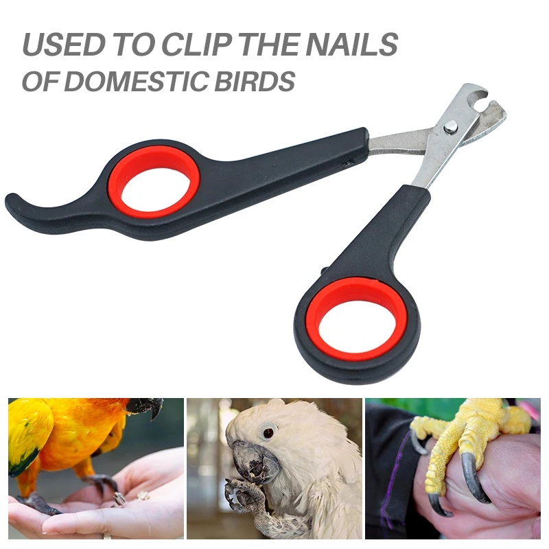 Ciseaux à ongles pour animaux  - Dog Grooming Clippers avis et prix