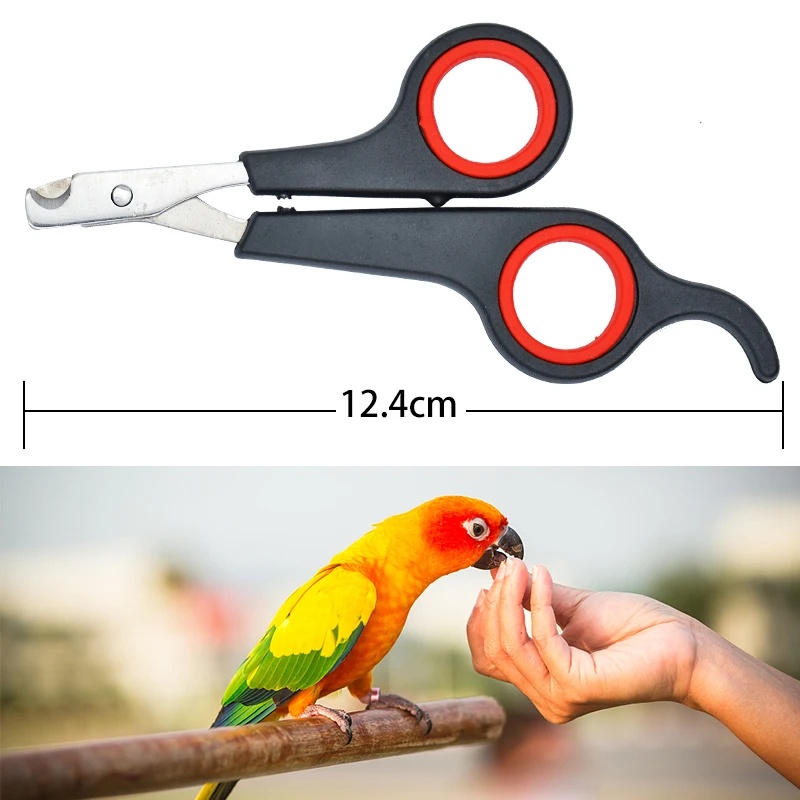 Ciseaux à ongles pour animaux  - Dog Grooming Clippers avis et prix