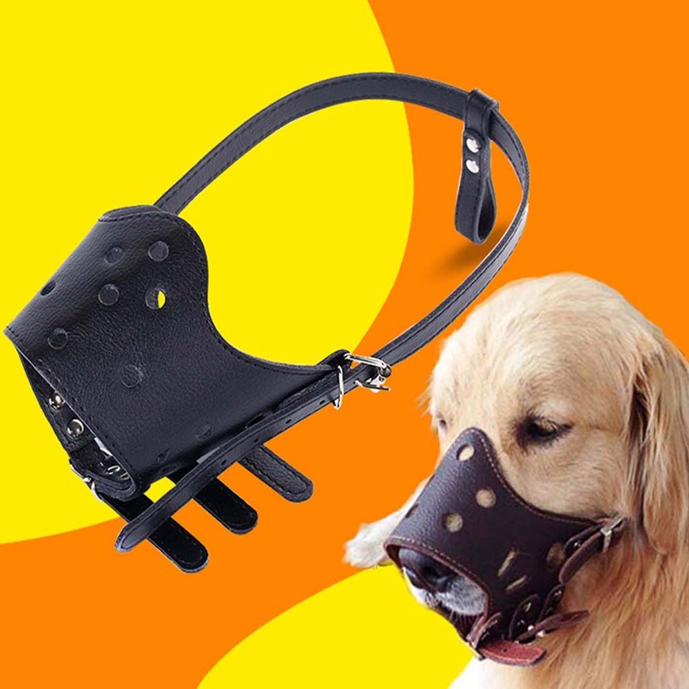 Muselière anti-morsure et anti - Pet Supplies Hours avis et prix