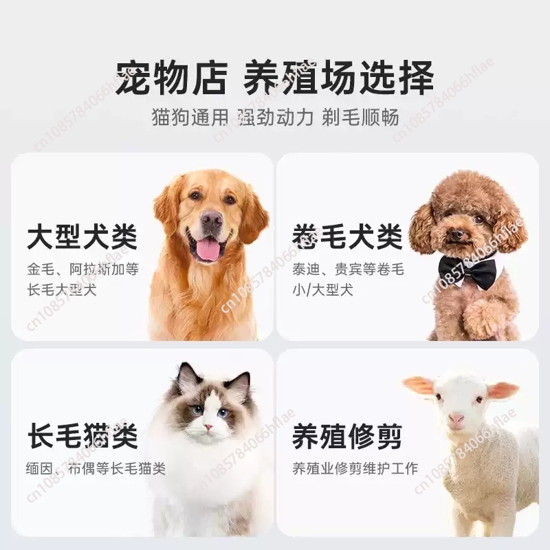 Kit de toilettage sans fil She - Dog Grooming Clippers avis et prix