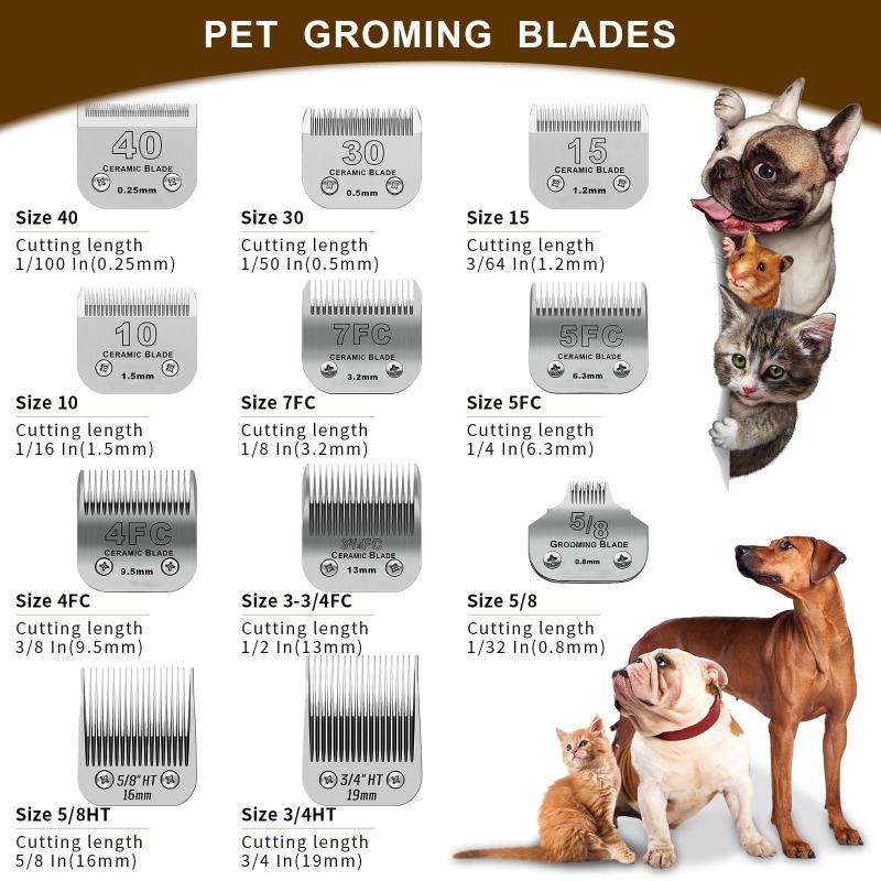 Tondeuse de toilettage pour ch - Dog Grooming Clippers avis et prix