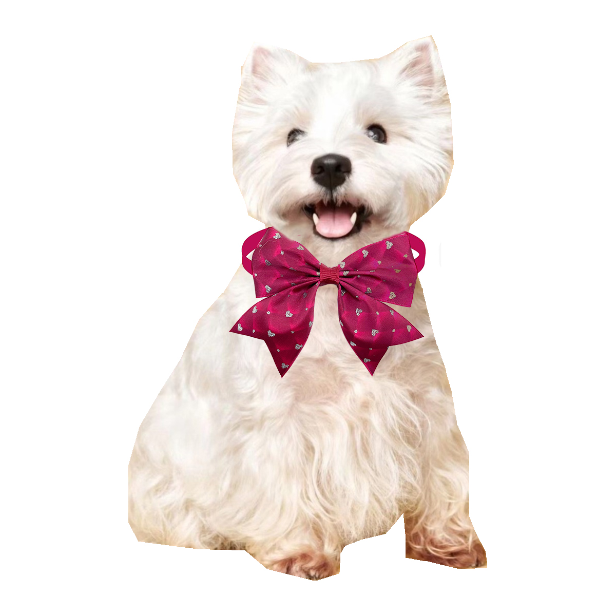 Nministériels d papillon pour  - Pet Supplies Hours avis et prix