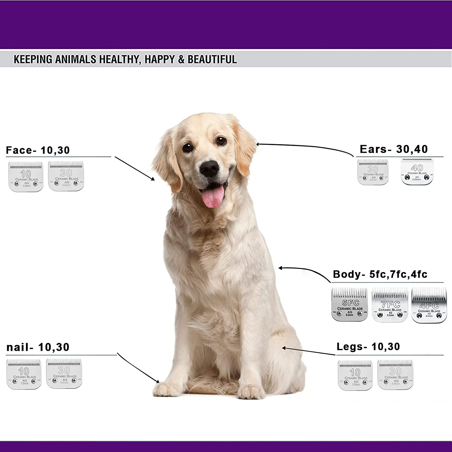 Lame de tondeuse détachable po - Dog Grooming Clippers avis et prix