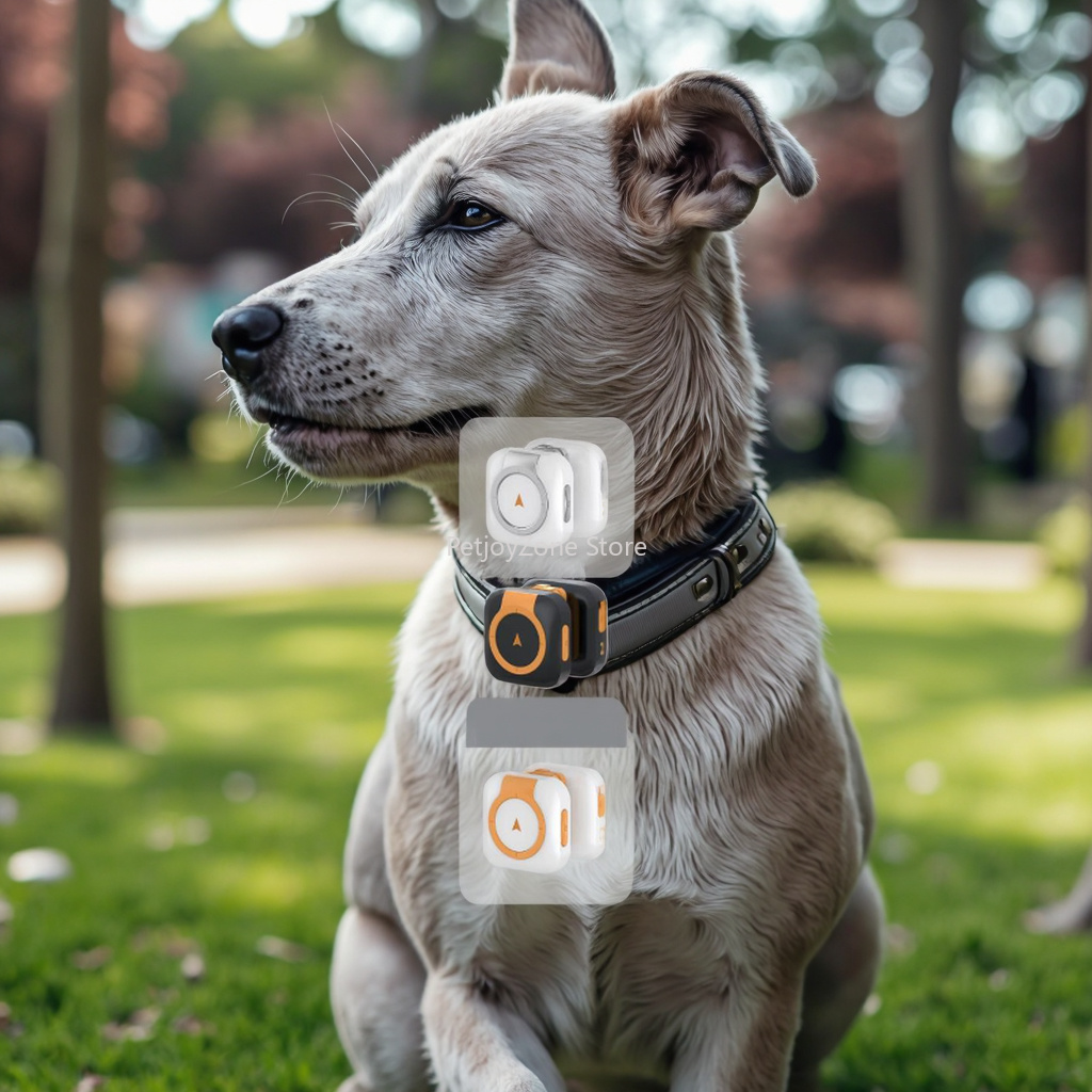 Traceur GPS populaire pour ani - Pet Gps Tracker Collar avis et prix