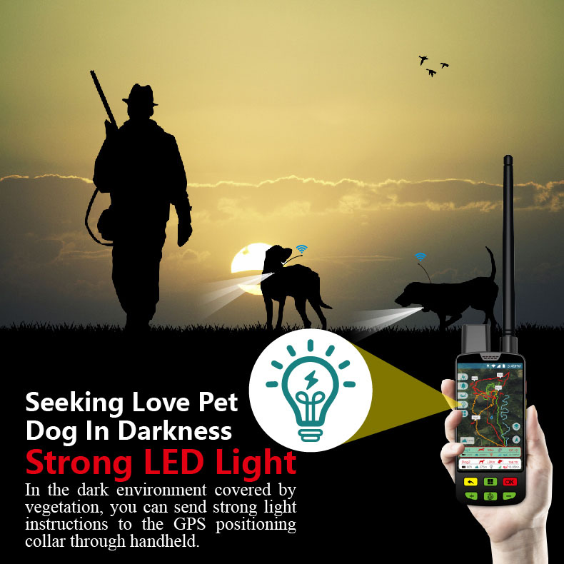 Collier de dressage intelligen - Pet Gps Tracker Collar avis et prix