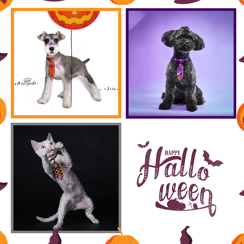 Cravates pour chiens et chats, - Pet Supplies Hours avis et prix