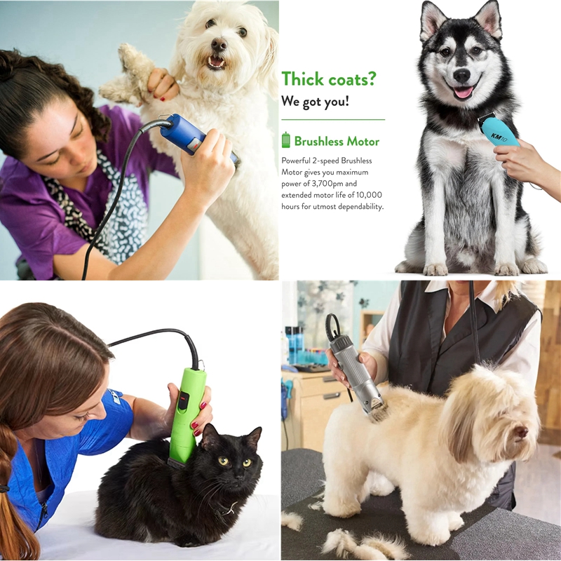 Lame A5 adaptée à Andis & Oste - Dog Grooming Clippers avis et prix