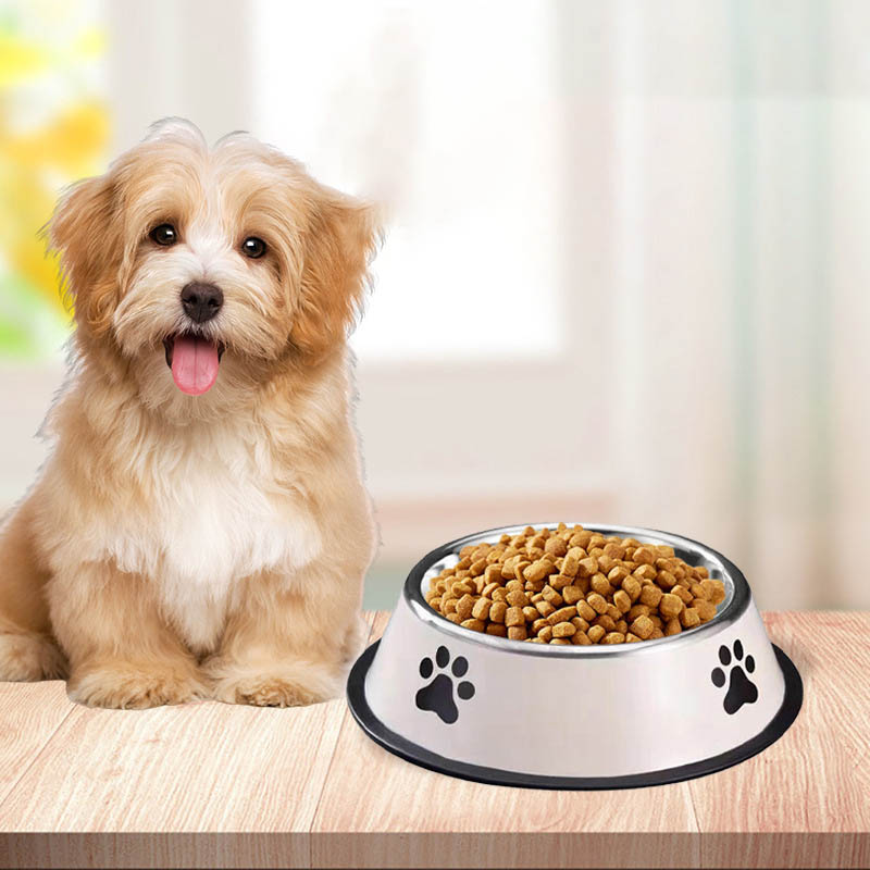 Bol pour animaux de compagnie  - Pet Supplies Hours avis et prix