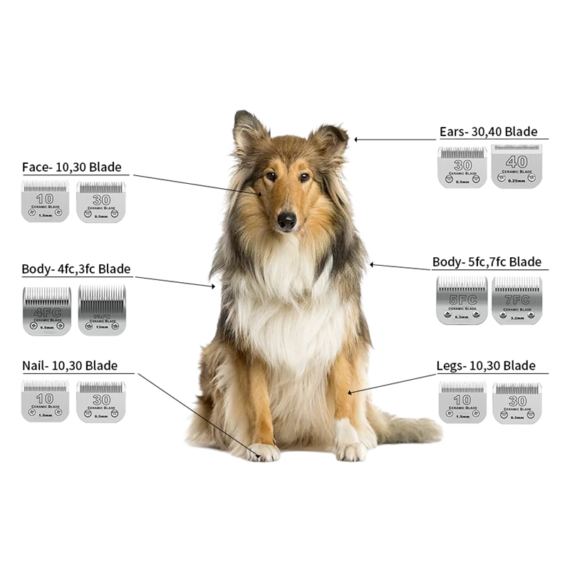 Lame en céramique professionne - Dog Grooming Clippers avis et prix
