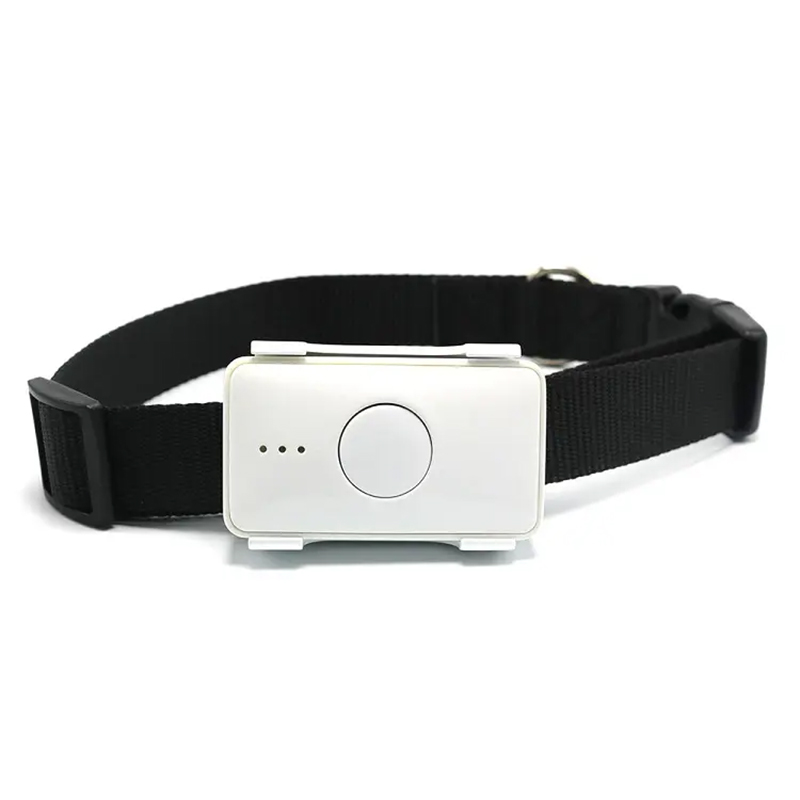 STLFSkylab Jouets imperméables - Pet Gps Tracker Collar avis et prix