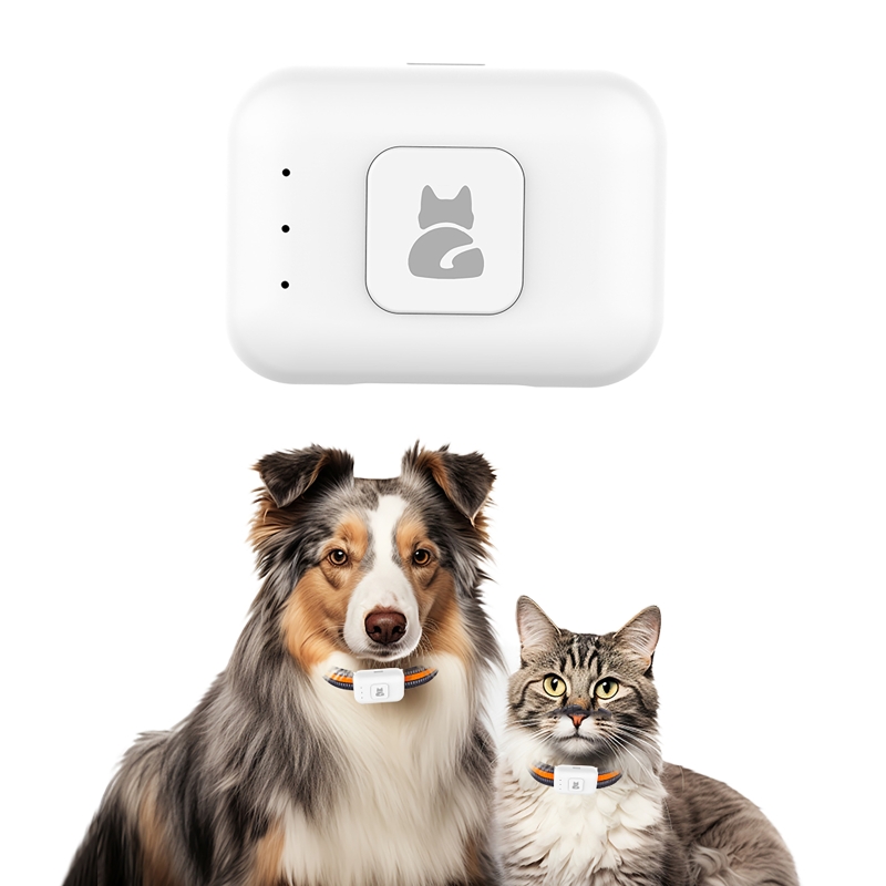 Traqueur GPS pour animaux de c - Pet Gps Tracker Collar avis et prix