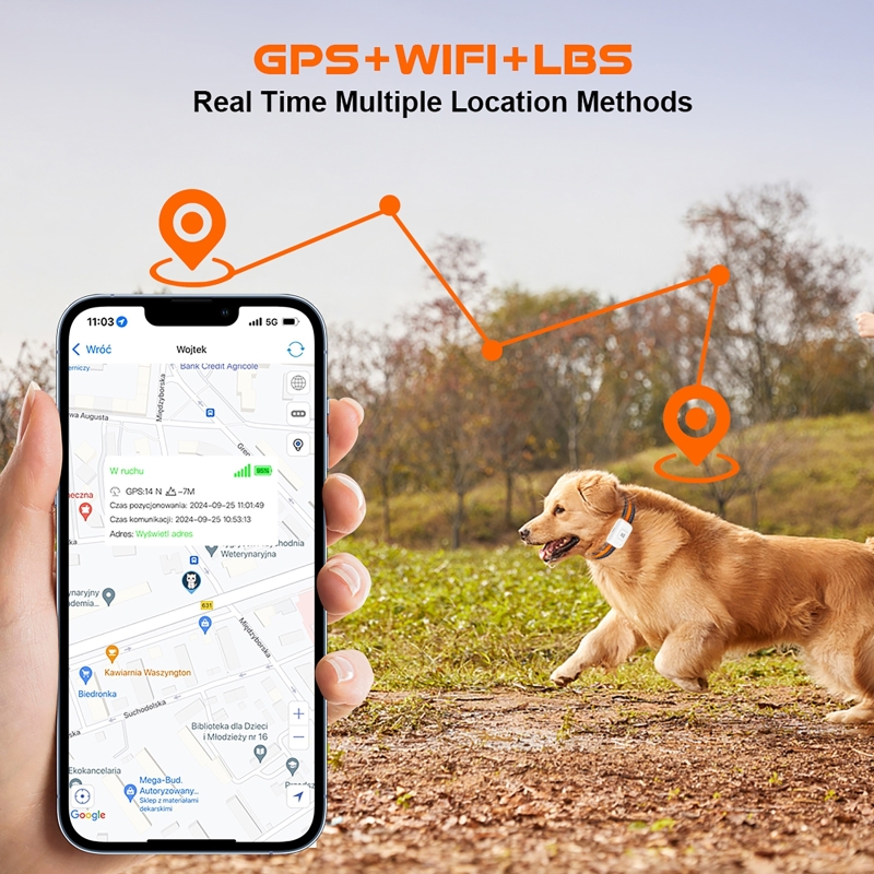 Traqueur GPS pour animaux de c - Pet Gps Tracker Collar avis et prix