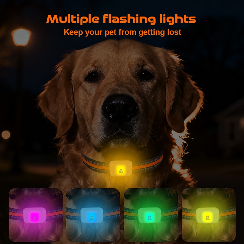 Traqueur GPS pour animaux de c - Pet Gps Tracker Collar avis et prix